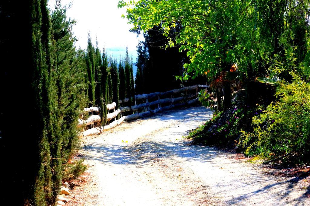 Cortijo De La Media Luna Mojácar Εξωτερικό φωτογραφία